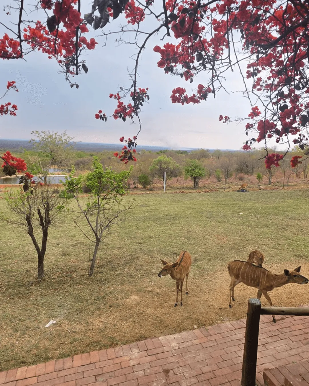 Picnic site